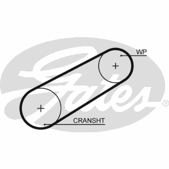 COGGED BELT COOLING PUMP 80T COGGED BELT COOLING PUMP 80T
